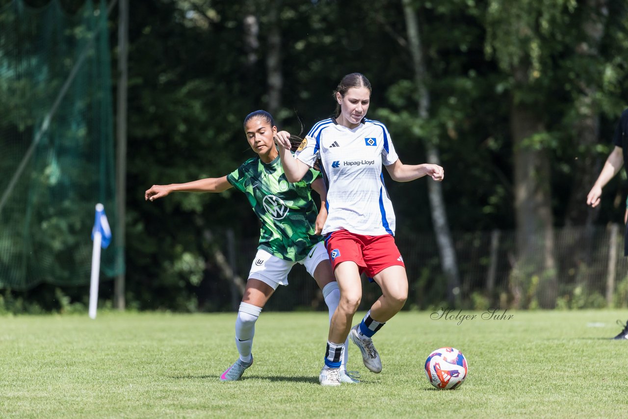 Bild 329 - wBJ Hamburger SV - VfL Wolfsburg : Ergebnis: 5:1
